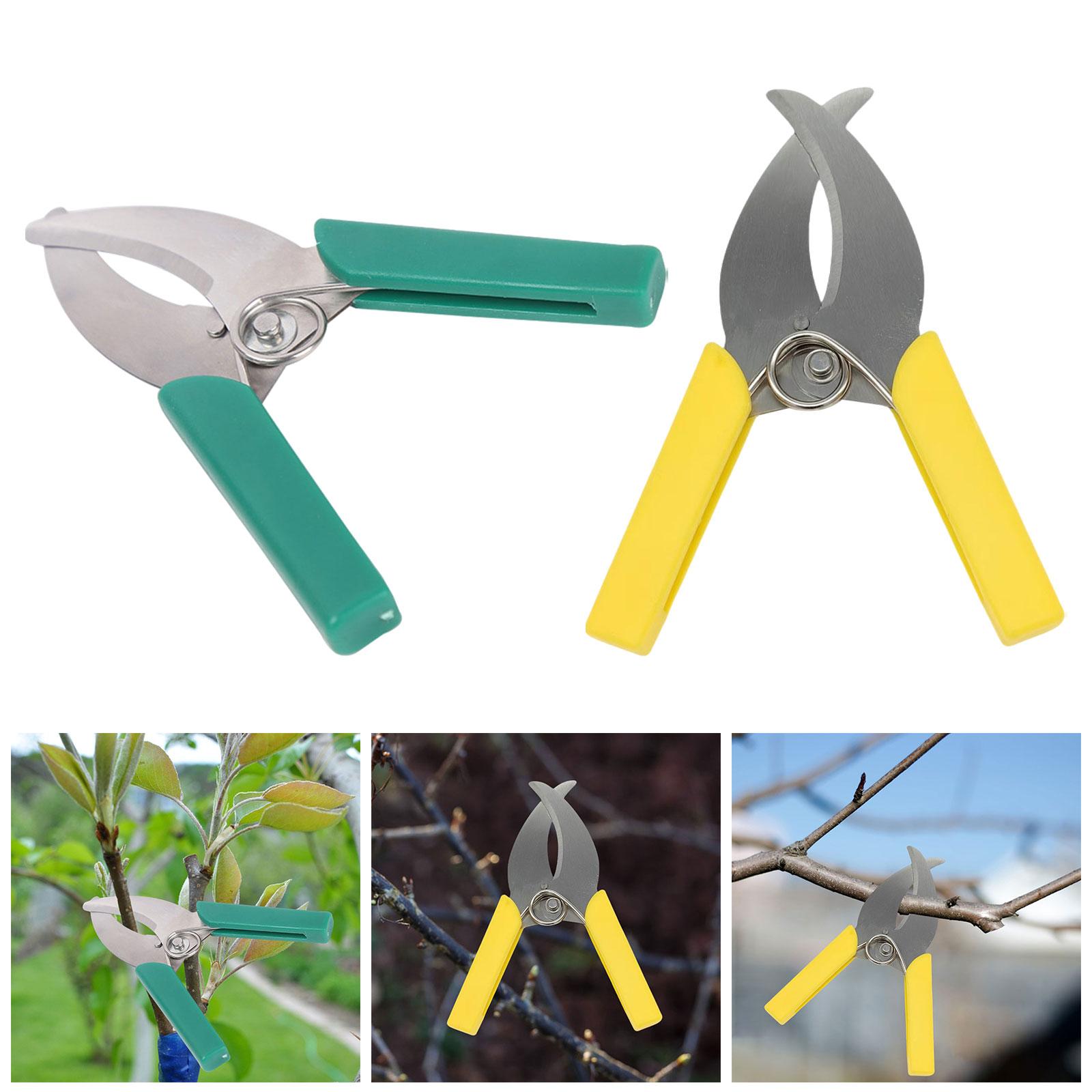 Gardening Tools Scissors - حلقة نباح القاطع مقص حديقة شجرة