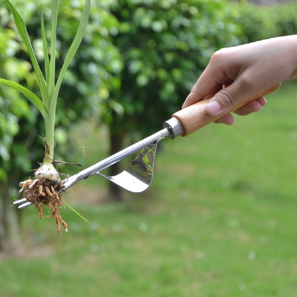 Gardening Tools To Remove Grass - أداة يدوية لإزالة الأعشاب الضارة على