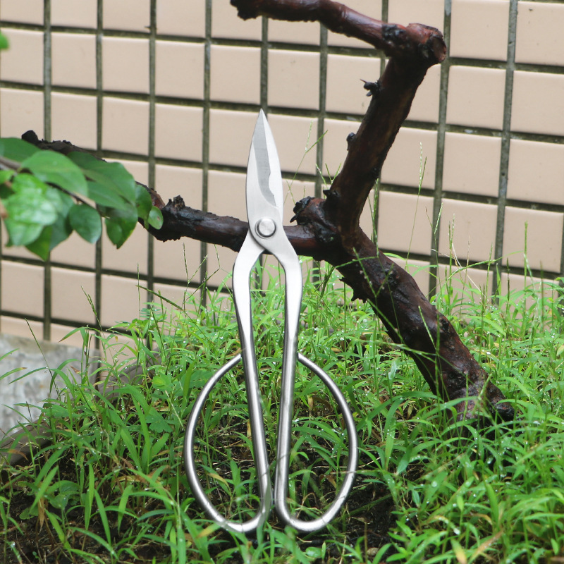 Bonsai Tool Set - مقصات حديقة من الفولاذ بالكامل، أوراق