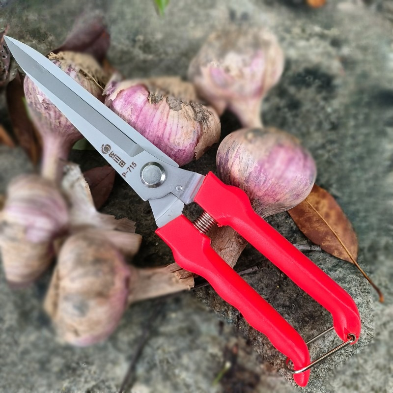 Bonsai Tool Set - مقصات تشذيب الحدائق مقص ثوم احترافي
