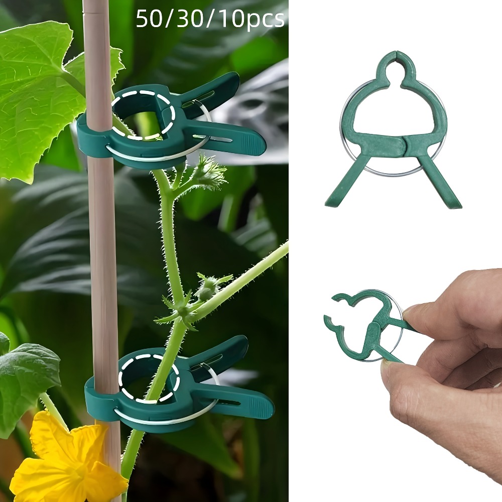 Gardening Tools For Vines - 10/30/50 قطعة من مشابك النباتات القابلة