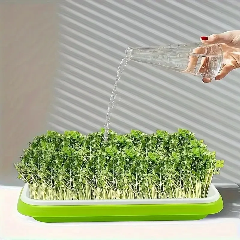 Gardening Tools Vegetables - أحدث موديلات صواني البذور، صينية إنبات