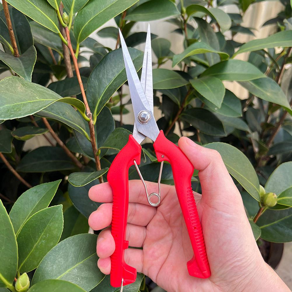Gardening Tools Wholesale - مقص تقليم احترافي للحدائق، مقص أشجار