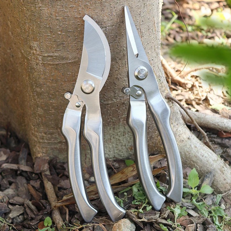 Bonsai Tool Set - مقص تقليم احترافي مصنوع بالكامل من