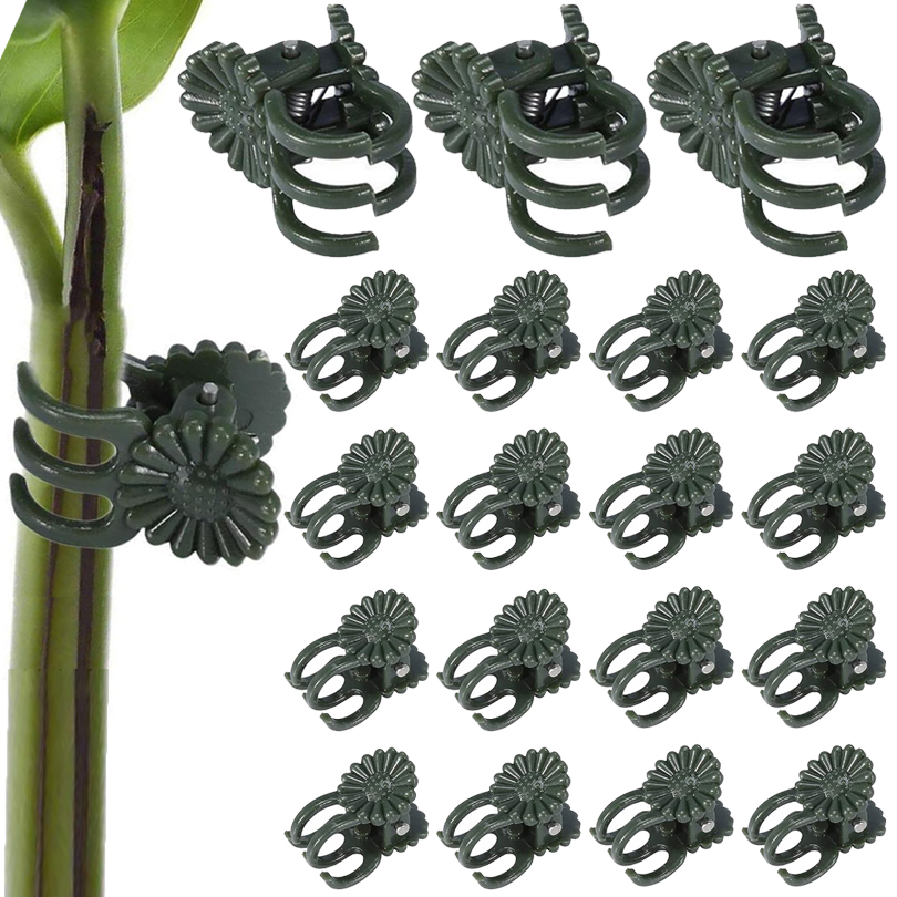 Gardening Tools For Vines - مشابك نباتات للتطعيم ، مشبك الكرمة
