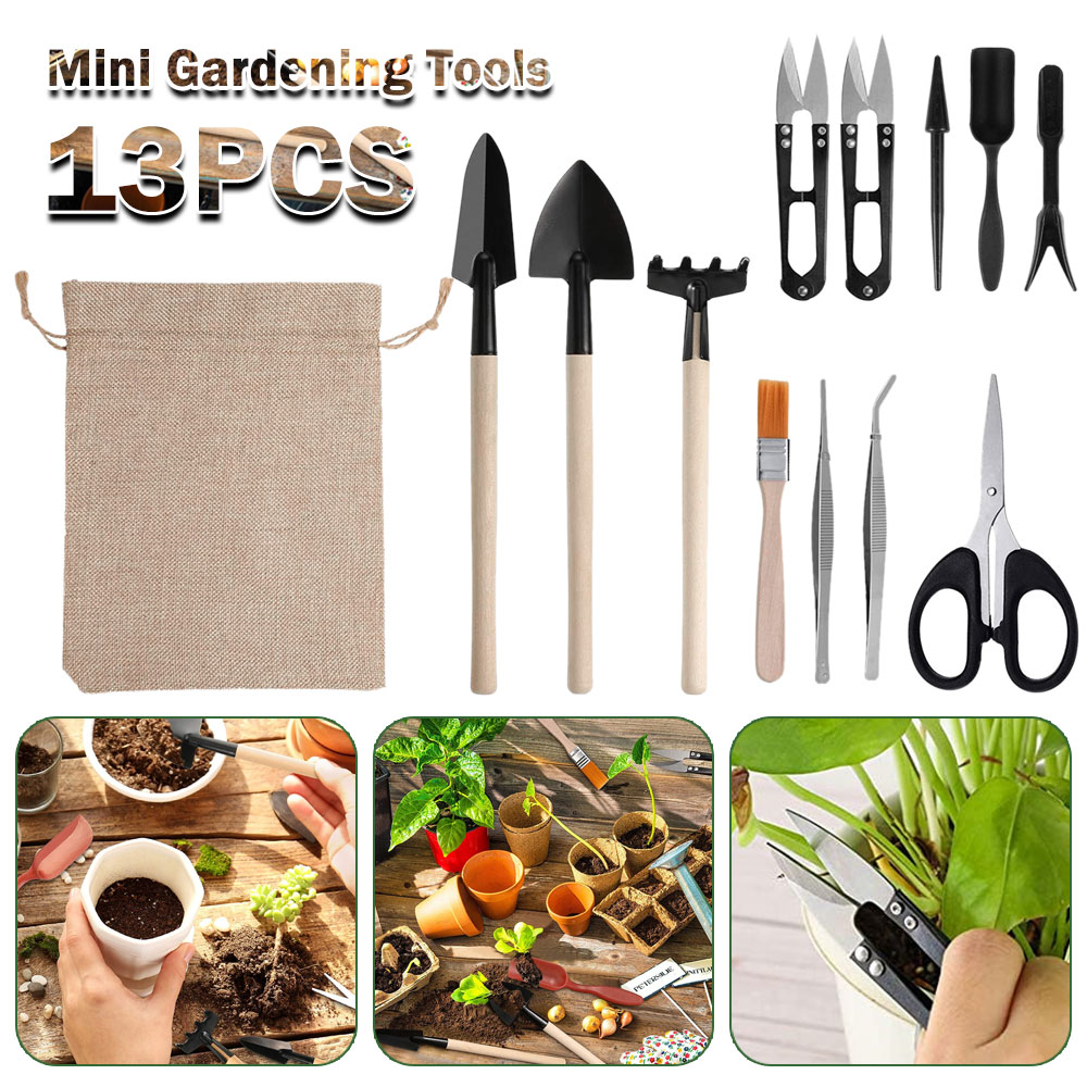 Bonsai Tool Set - أدوات النباتات النضرة حديقة صغيرة أدوات
