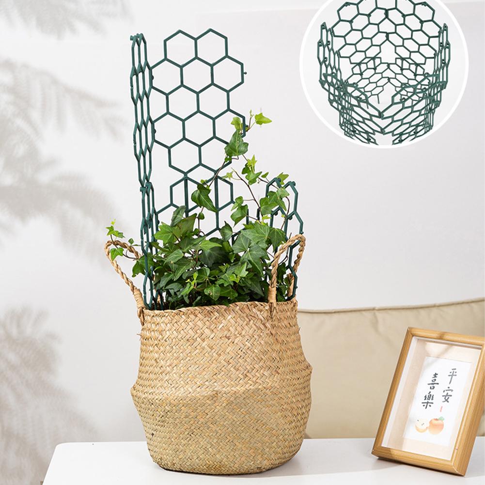 1/2/5 قطع إطار دعم نباتات بلاس - مراجعة Gardening Tools For Vines وسعره