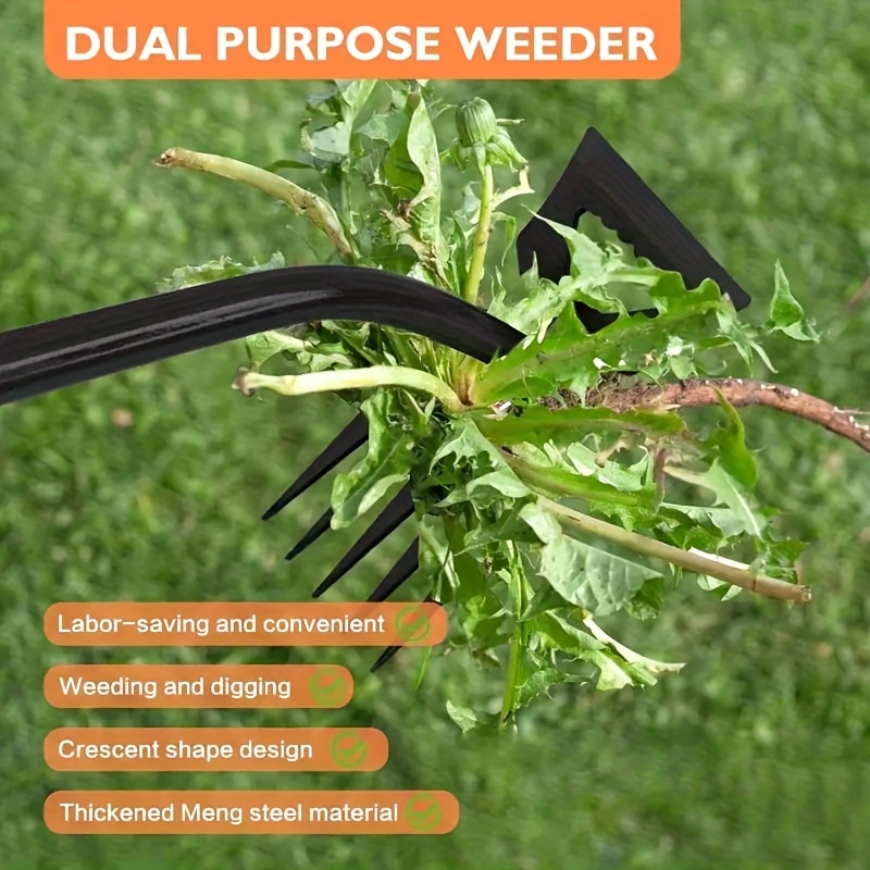 أداة إزالة الأعشاب الضارة 2 في - مراجعة Gardening Tools To Remove Grass وسعره