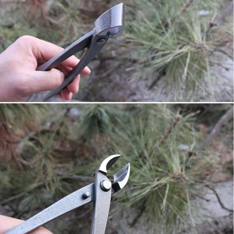 بونساي مقبض القاطع مقعر حافة ا - مراجعة Bonsai Tool Set وسعره