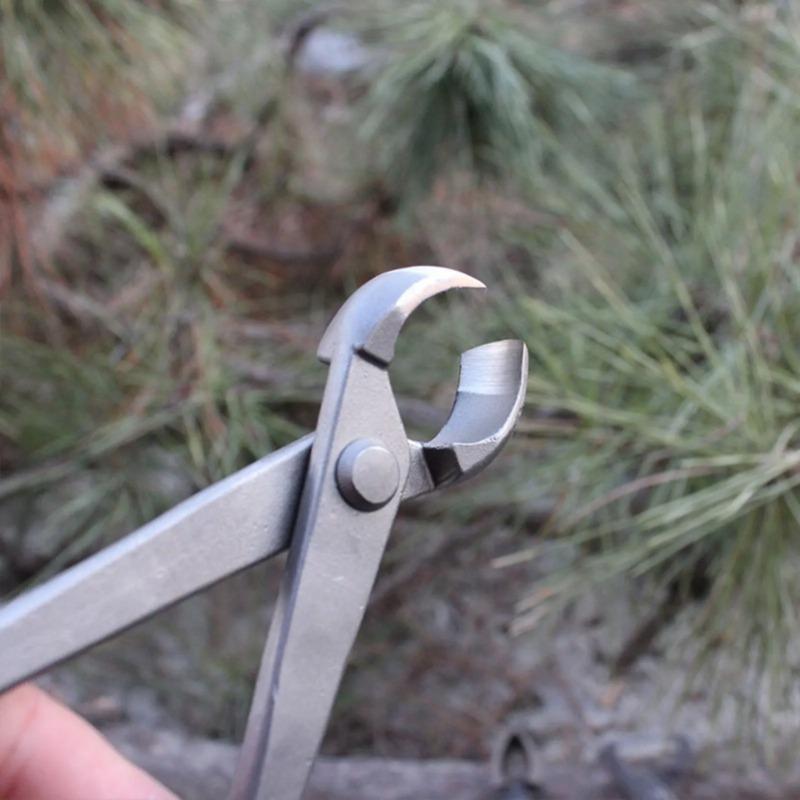 بونساي مقبض القاطع مقعر حافة ا - مراجعة Bonsai Tool Set وسعره