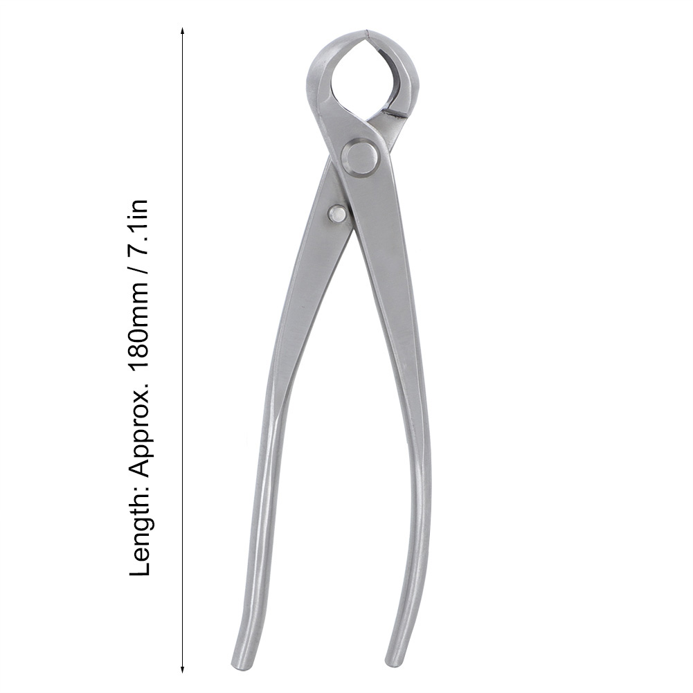مقص تقليم كروي مقعر 180 مم من  - مراجعة Bonsai Tool Set وسعره