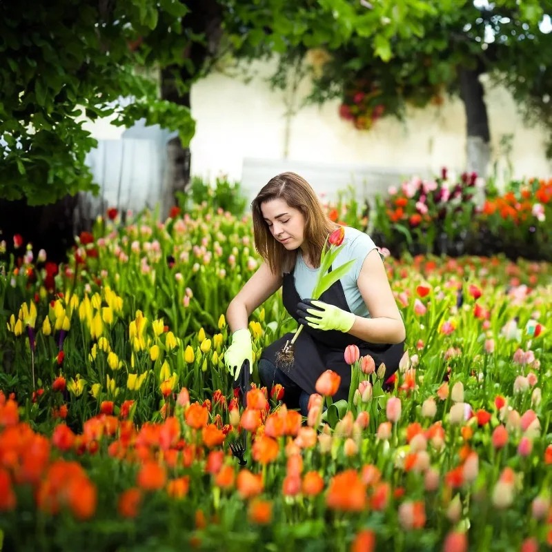 أداة يدوية 2 في 1 للحدائق: مشط - مراجعة Gardening Tools To Remove Weeds وسعره