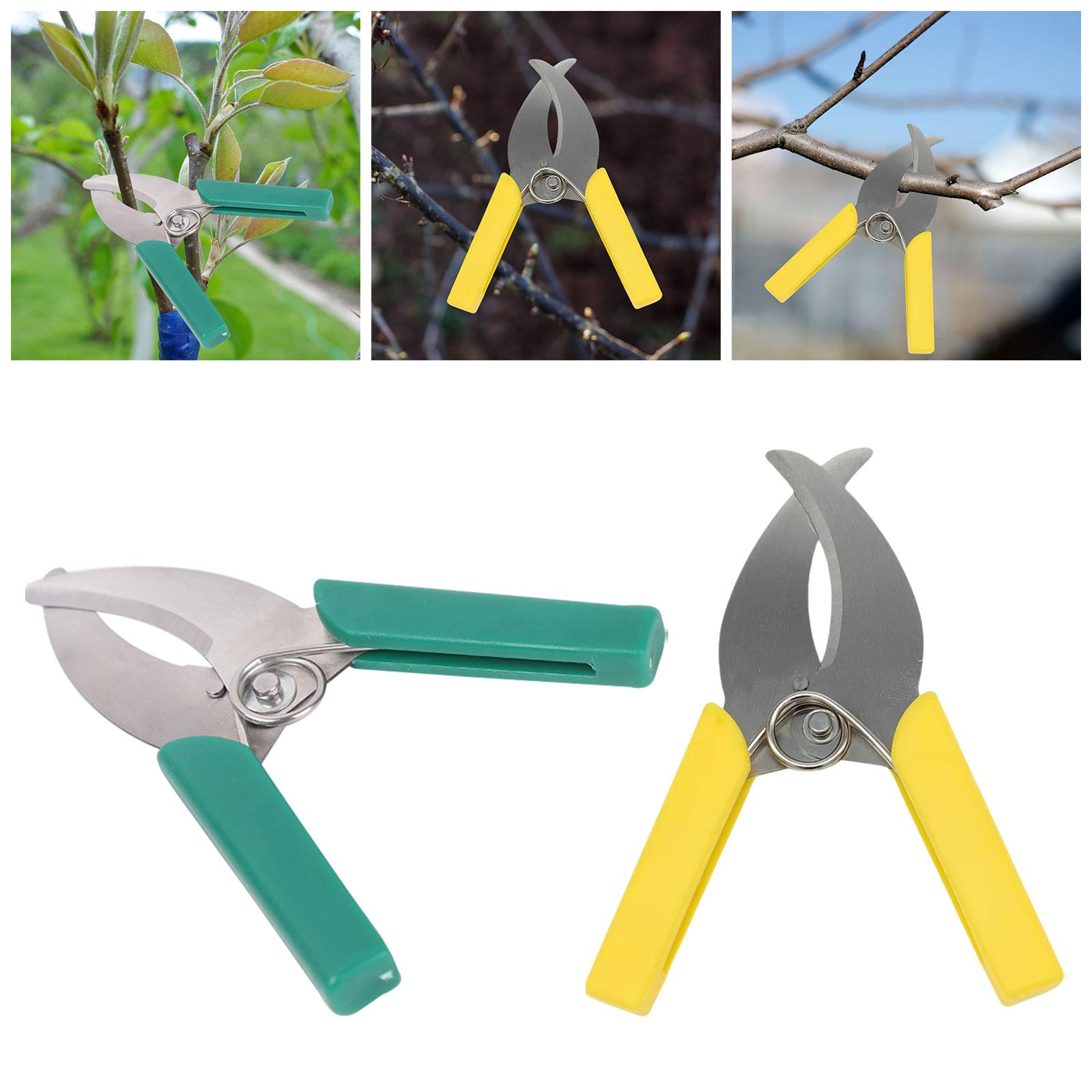 حلقة نباح القاطع مقص حديقة شجر - مراجعة Gardening Tools Scissors وسعره