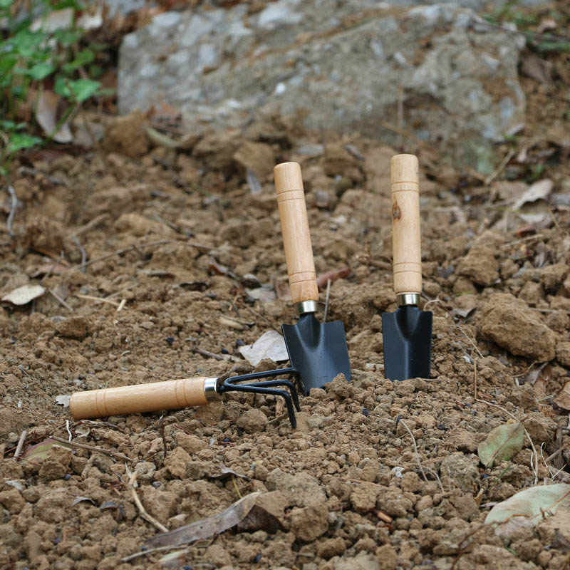 3 قطعة/المجموعة حديقة صغيرة أد - مراجعة Gardening Tools Vegetables وسعره