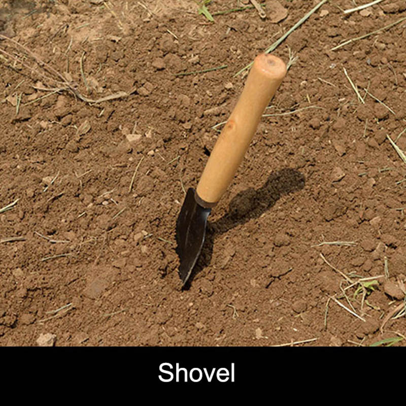 3 قطعة/المجموعة حديقة صغيرة أد - مراجعة Gardening Tools Vegetables وسعره