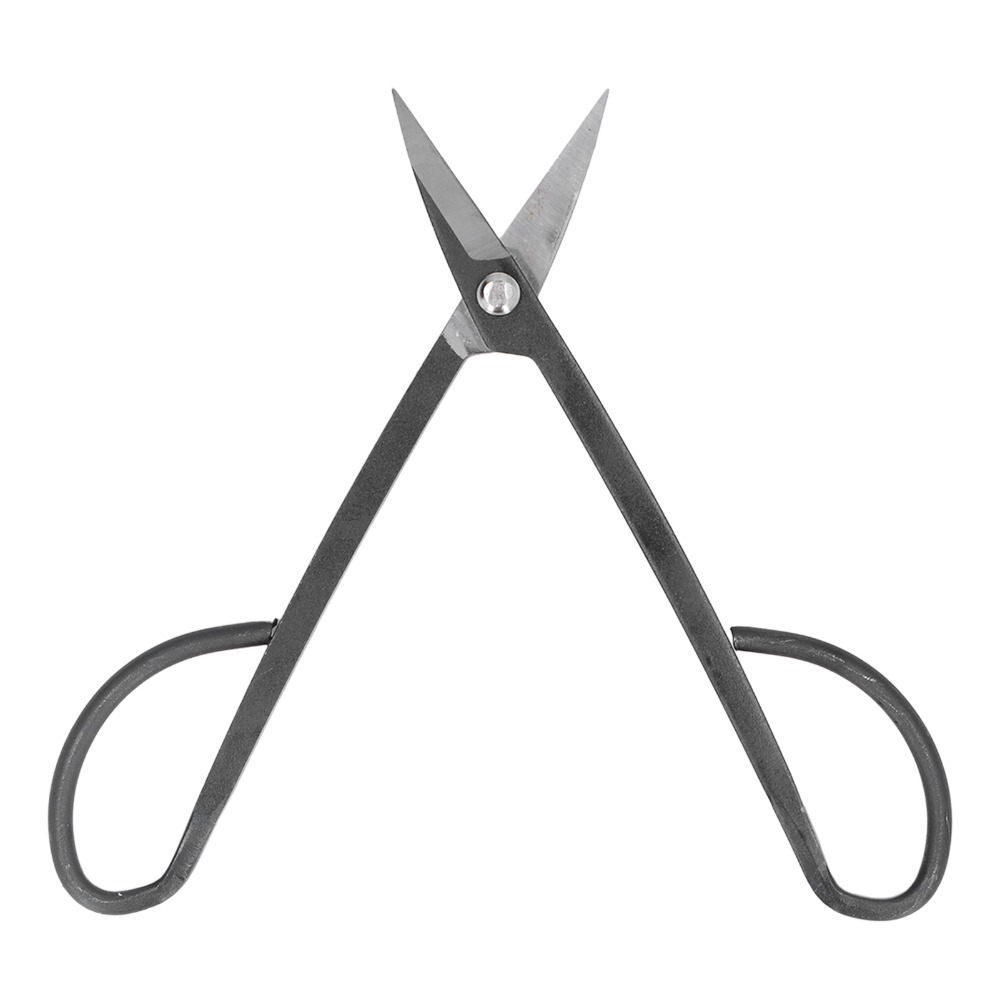 مقصات بونساي من الفولاذ المقاو - مراجعة Bonsai Tool Set وسعره