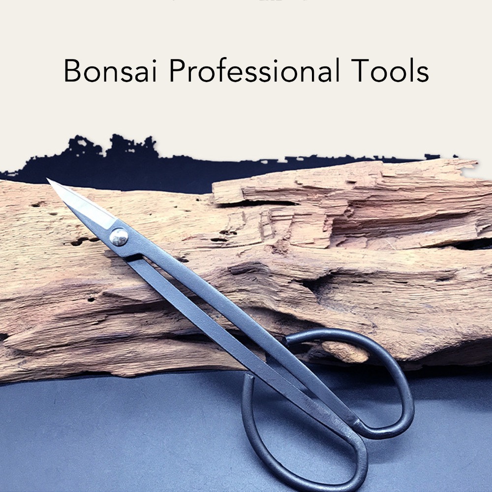 مقصات بونساي من الفولاذ المقاو - مراجعة Bonsai Tool Set وسعره