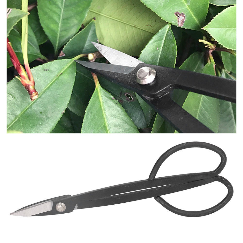 مقصات بونساي من الفولاذ المقاو - مراجعة Bonsai Tool Set وسعره