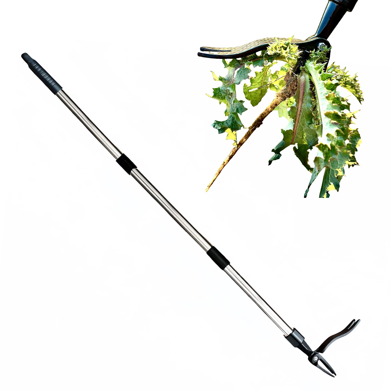 4 مخلب الوقوف الاعشاب مجتذب ال - مراجعة Gardening Tools To Remove Weeds وسعره