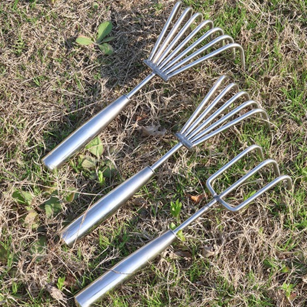 الفولاذ المقاوم للصدأ الاعشاب  - مراجعة Gardening Tools To Remove Weeds وسعره