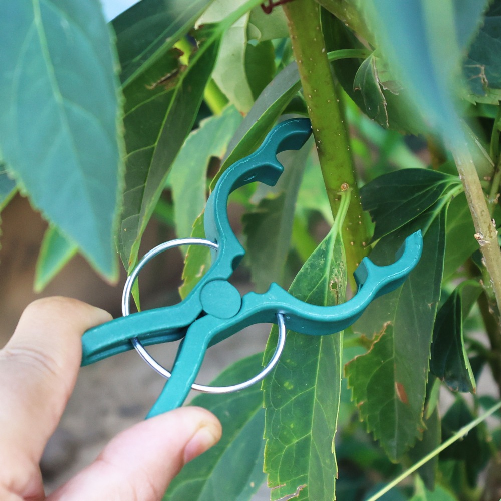 50/10 قطعة مشابك تثبيت نباتات  - مراجعة Gardening Tools For Vines وسعره
