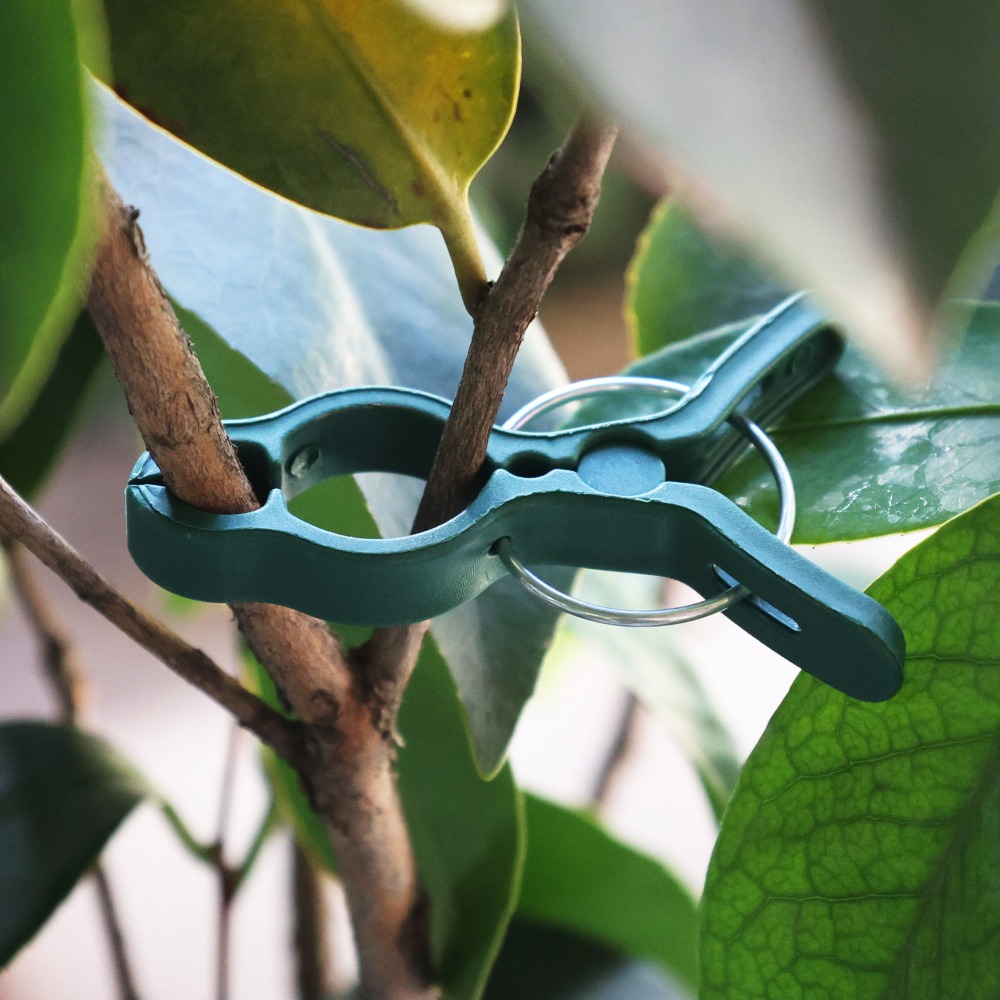 50/10 قطعة مشابك تثبيت نباتات  - مراجعة Gardening Tools For Vines وسعره