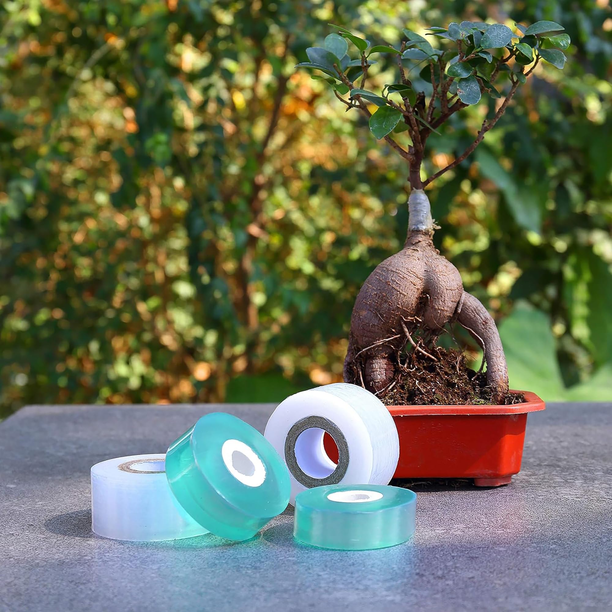 شريط تطعيم ذاتي اللصق سهل الاس - مراجعة Gardening Tools Uses وسعره