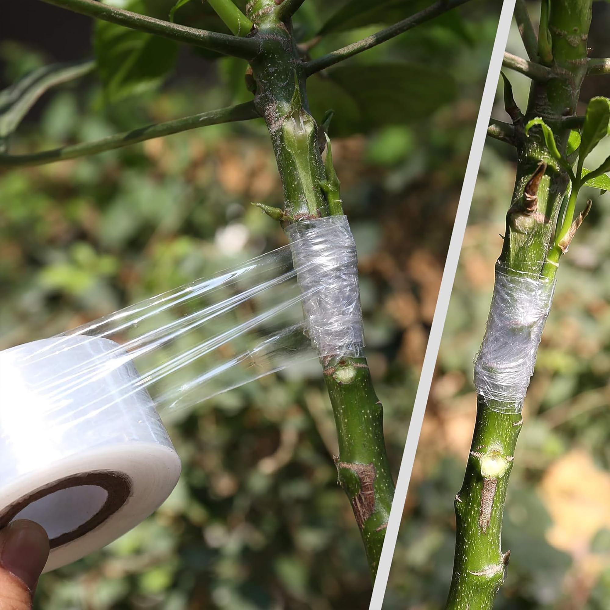 شريط تطعيم ذاتي اللصق سهل الاس - مراجعة Gardening Tools Uses وسعره