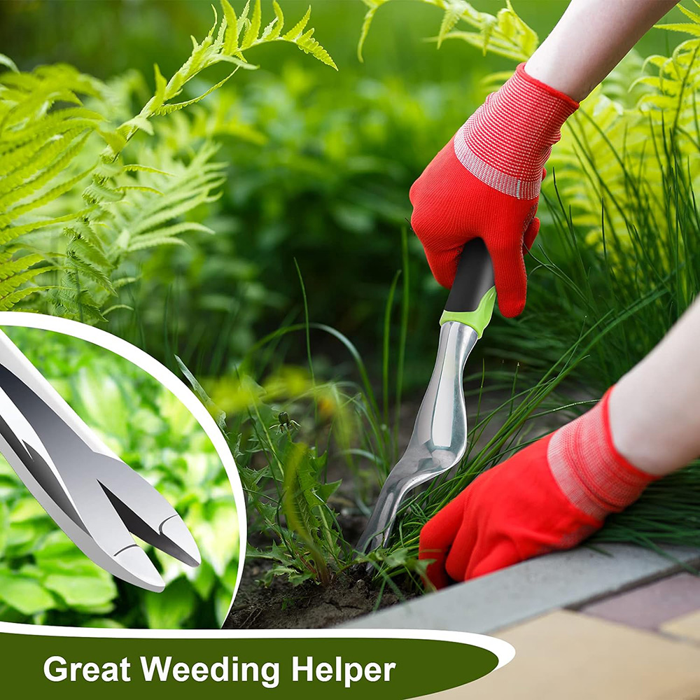 أداة إزالة الأعشاب الضارة اليد - مراجعة Gardening Tools To Remove Weeds وسعره