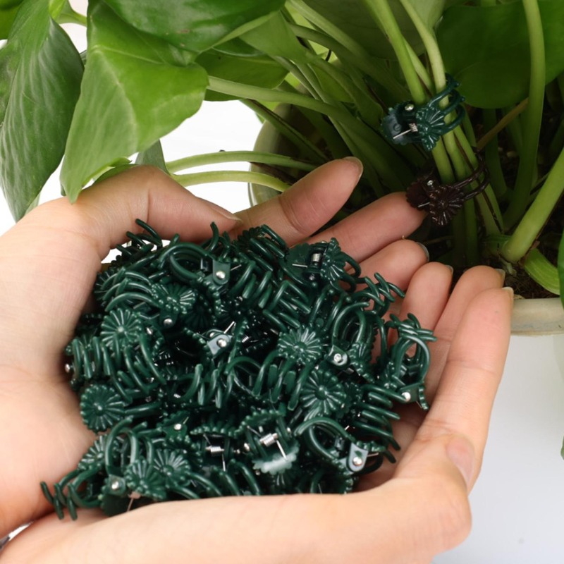 مشابك دعم النباتات الصغيرة بال - مراجعة Gardening Tools For Vines وسعره