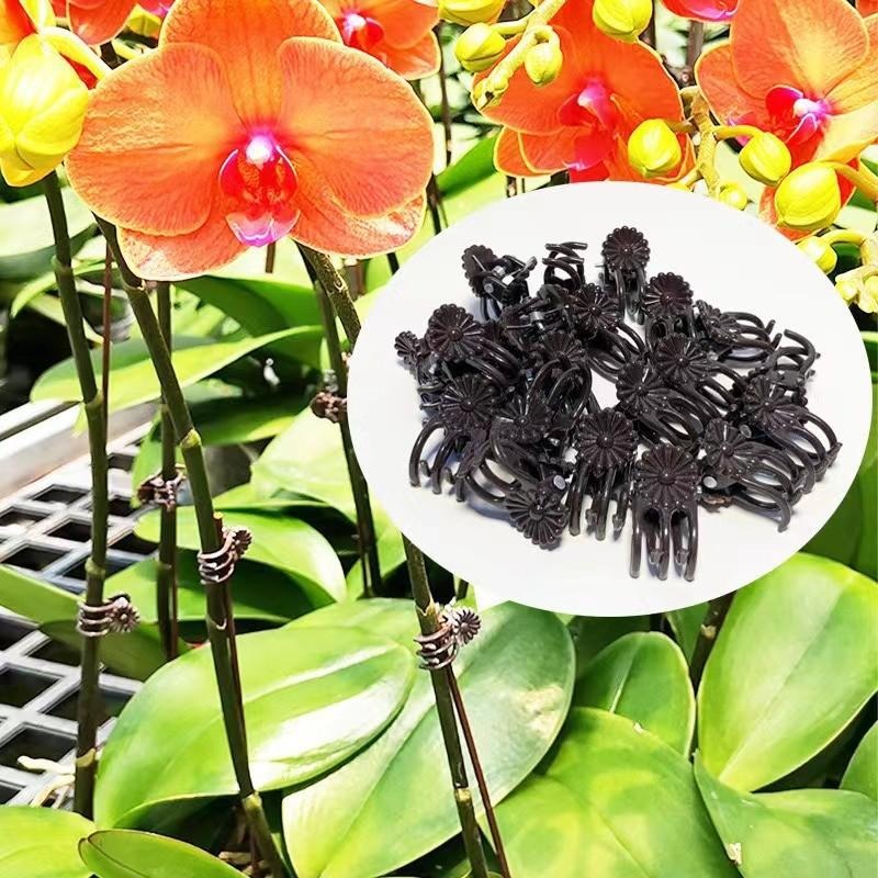 مشابك دعم النباتات الصغيرة بال - مراجعة Gardening Tools For Vines وسعره