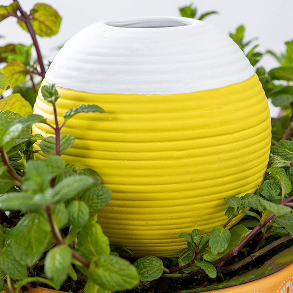 أداة سيراميك أوتوماتيكية لري ا - مراجعة Gardening Tools You Must Have وسعره