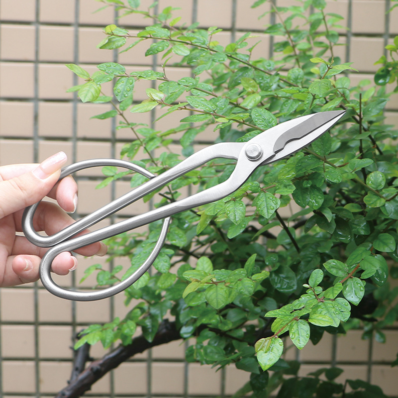 مقصات حديقة من الفولاذ بالكامل - مراجعة Bonsai Tool Set وسعره