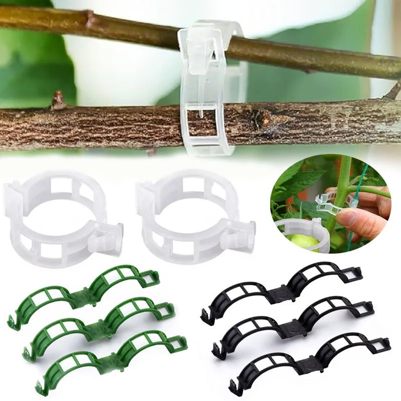 100 قطعة مقاطع تثبيت النباتات  - مراجعة Gardening Tools For Vines وسعره