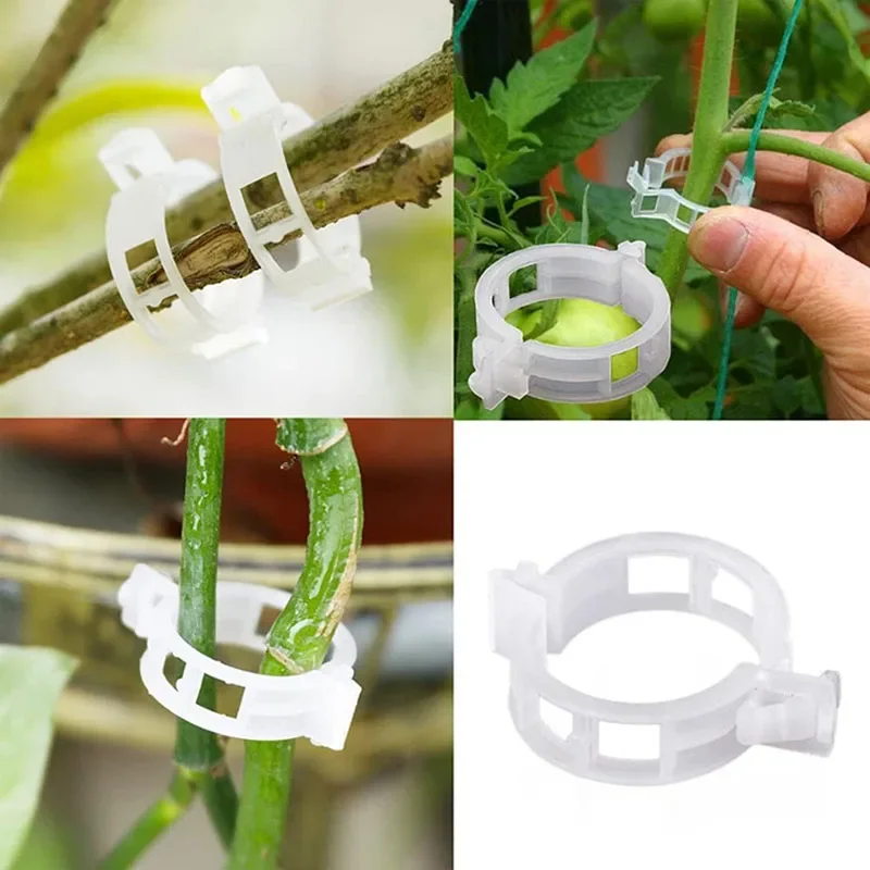 100 قطعة مقاطع تثبيت النباتات  - مراجعة Gardening Tools For Vines وسعره