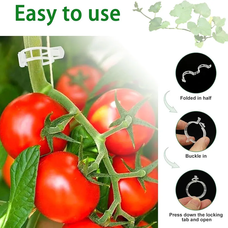100 قطعة مقاطع تثبيت النباتات  - مراجعة Gardening Tools For Vines وسعره