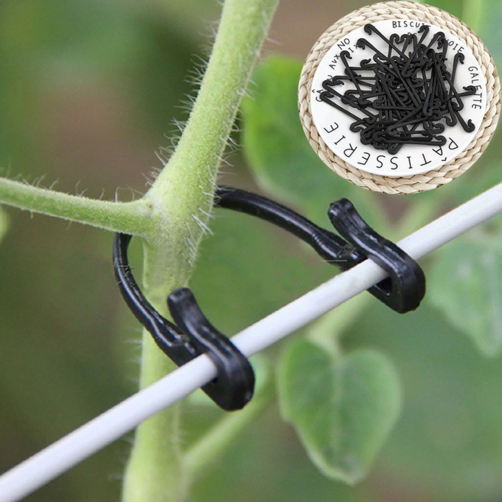 50-500 قطعة مشبك تثبيت للنباتا - مراجعة Gardening Tools For Vines وسعره
