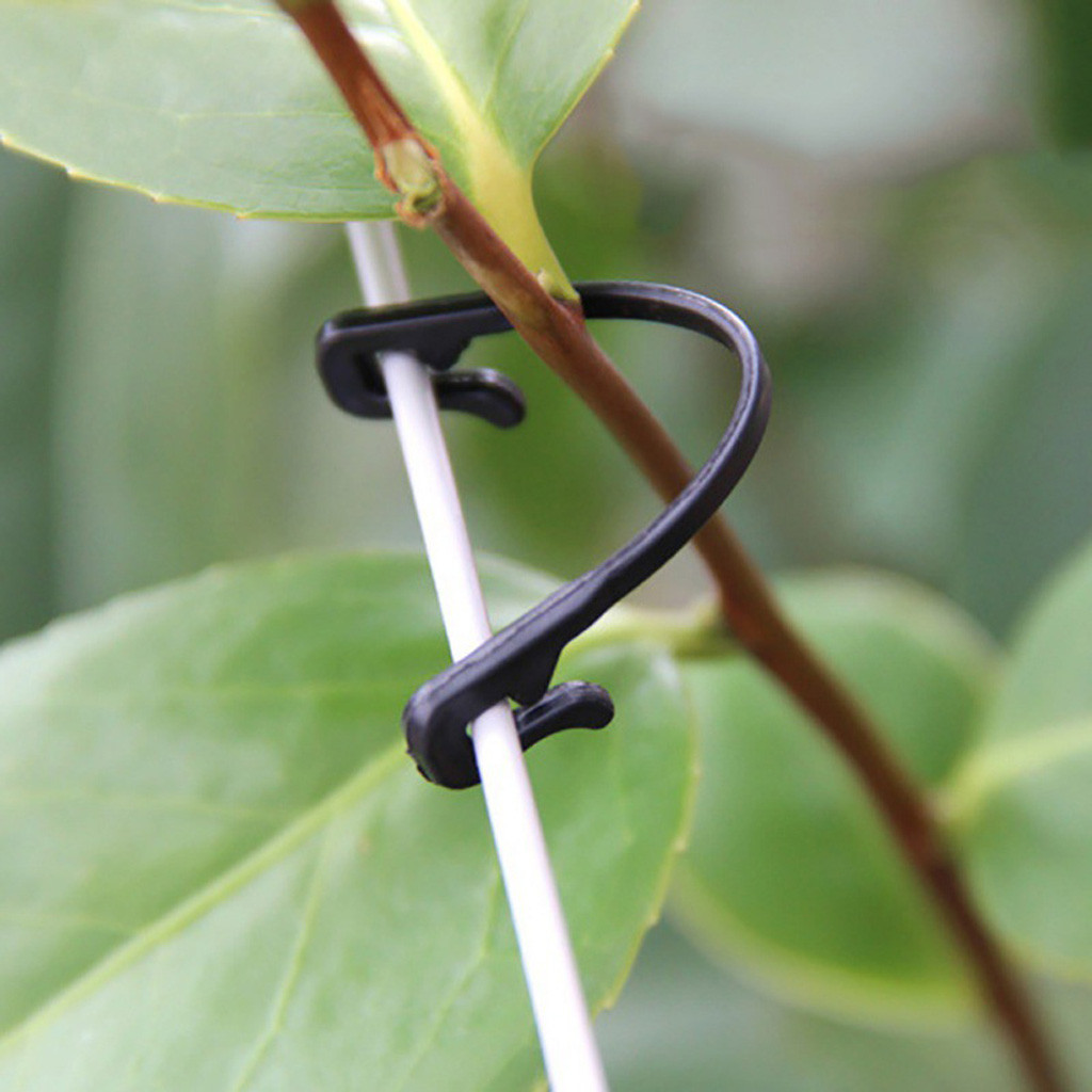 50-500 قطعة مشبك تثبيت للنباتا - مراجعة Gardening Tools For Vines وسعره