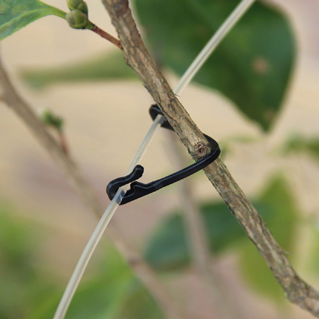 50-500 قطعة مشبك تثبيت للنباتا - مراجعة Gardening Tools For Vines وسعره