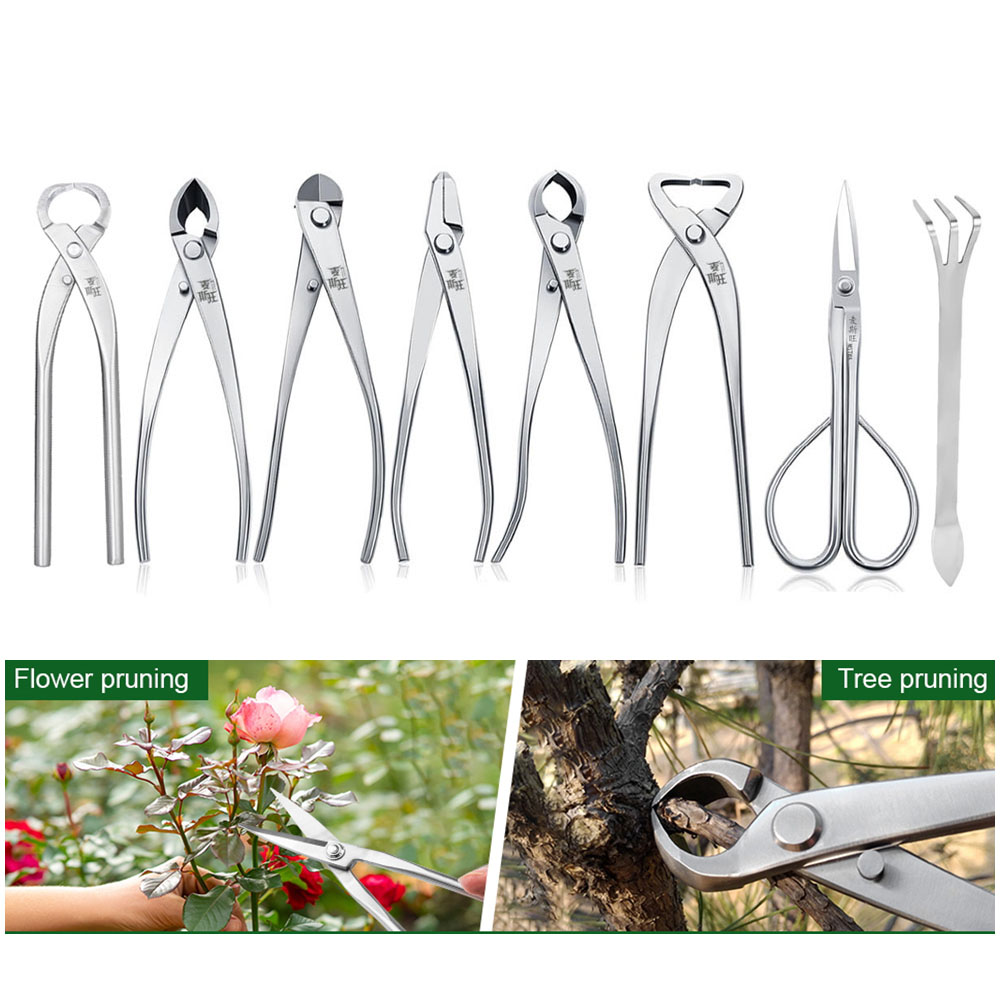 مجموعة أدوات بونساي احترافية،  - مراجعة Bonsai Tool Set وسعره