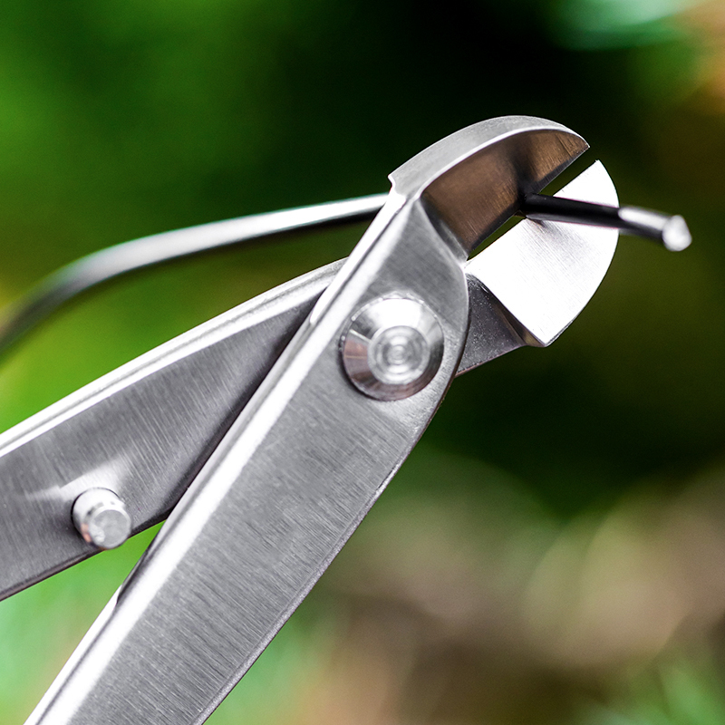 مجموعة أدوات بونساي احترافية،  - مراجعة Bonsai Tool Set وسعره