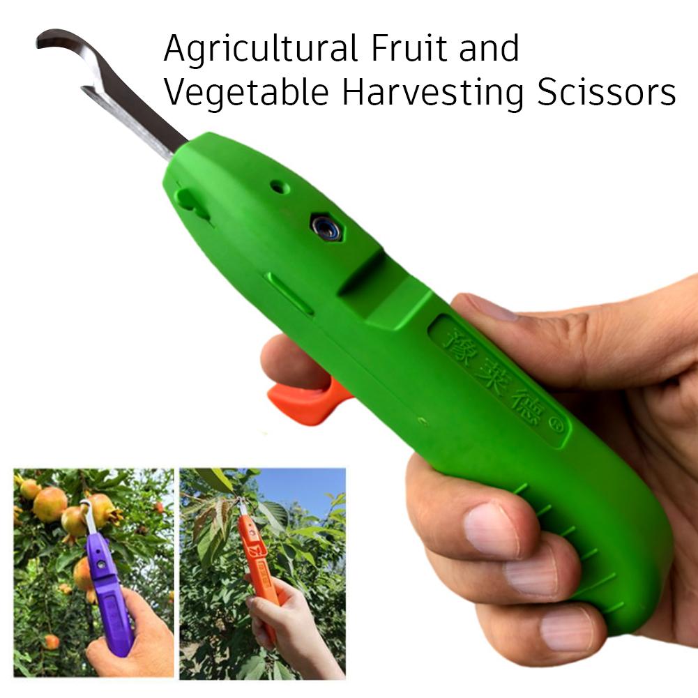 أداة متعددة الوظائف محمولة لقط - مراجعة Gardening Tools Vegetables وسعره