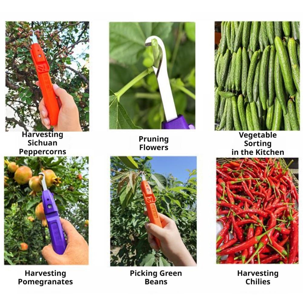أداة متعددة الوظائف محمولة لقط - مراجعة Gardening Tools Vegetables وسعره