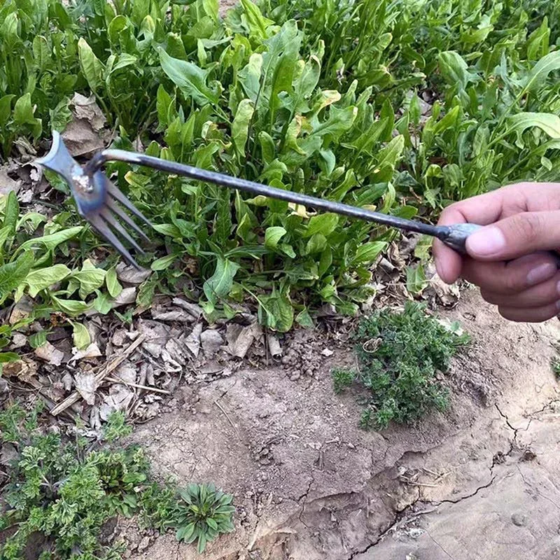 أداة إزالة الأعشاب الضارة اليد - مراجعة Gardening Tools To Remove Weeds وسعره