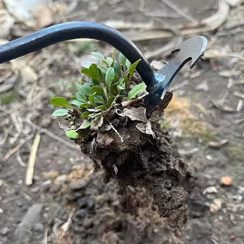 أداة إزالة الأعشاب الضارة اليد - مراجعة Gardening Tools To Remove Weeds وسعره