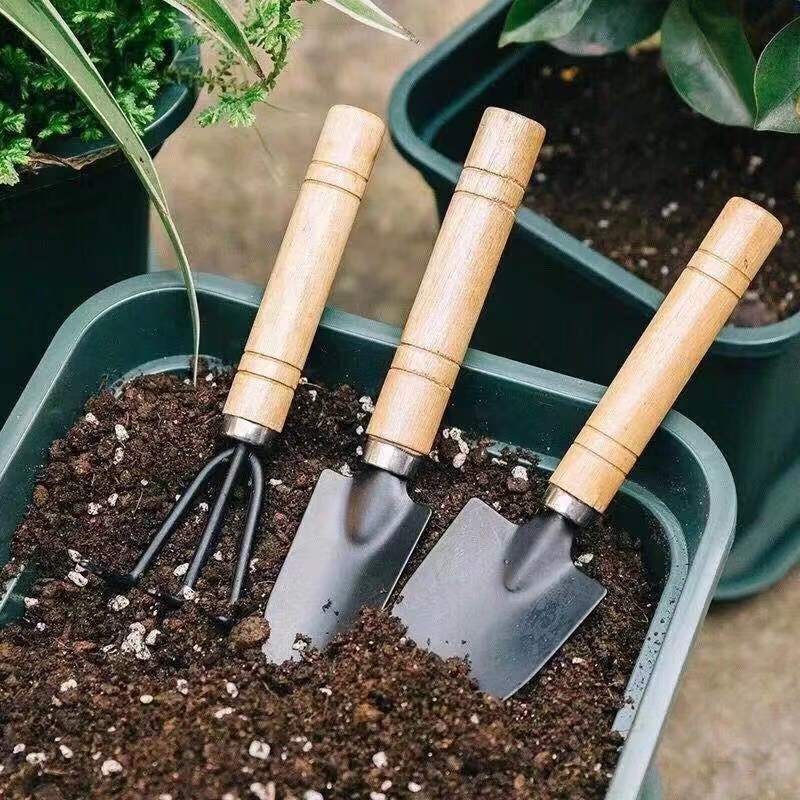 3 قطعة/1 مجموعة أدوات البستنة  - مراجعة Gardening Tools Wholesale وسعره