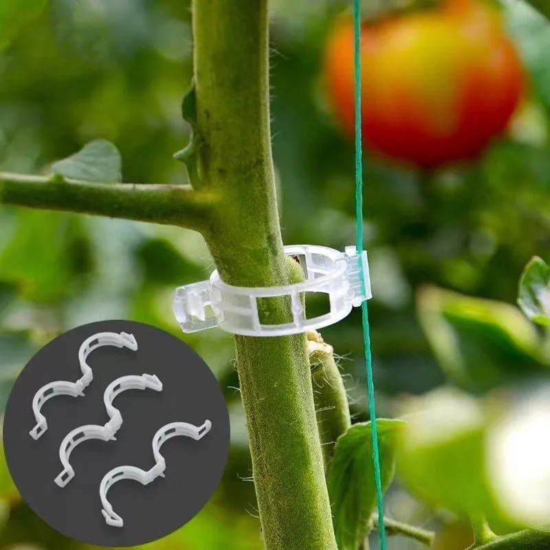 مشابك نباتات بلاستيكية للحدائق - مراجعة Gardening Tools Wholesale وسعره