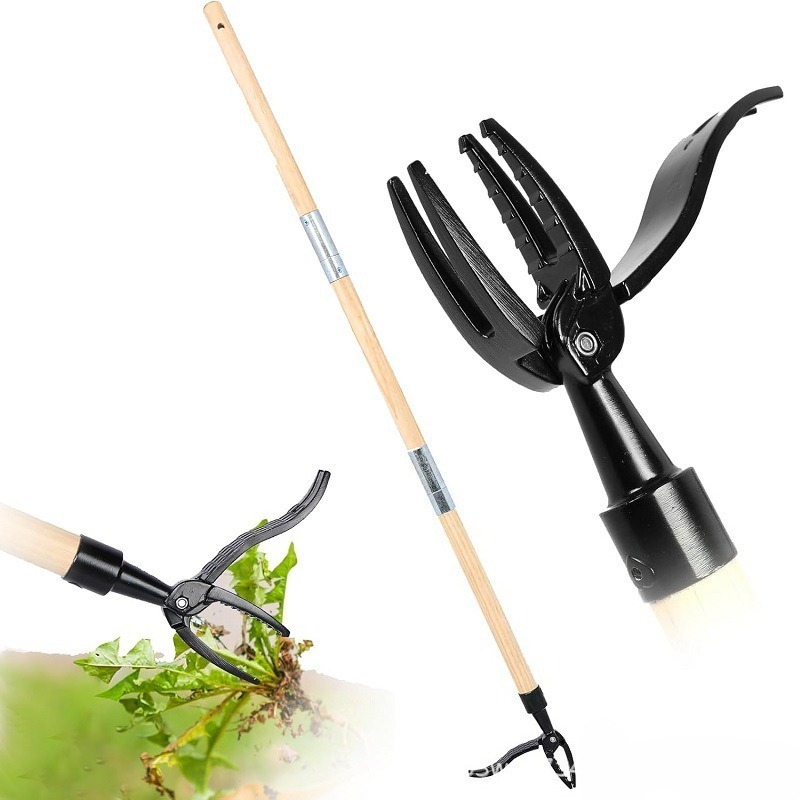 أداة سحب الأعشاب الدائمة - مزي - مراجعة Gardening Tools To Remove Weeds وسعره