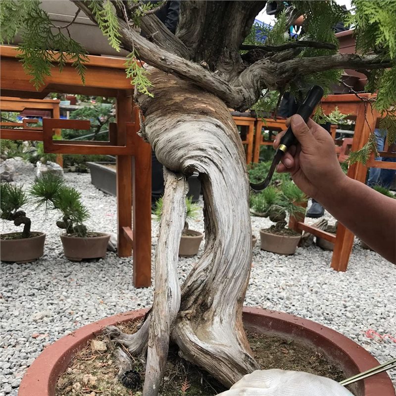 مجموعة أدوات نحت الخشب A74E-Bo - مراجعة Bonsai Tool Set وسعره