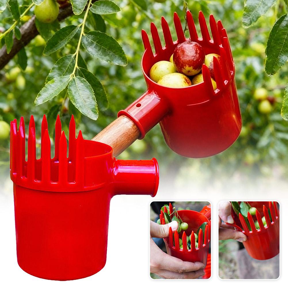 أداة قطف الفاكهة المحمولة مع س - مراجعة Gardening Tools Rack وسعره
